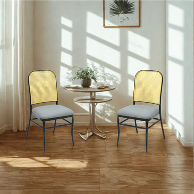 ROZA Dining Chair Td Furniture